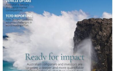 Sharing how we attained the largest healthcare sustainability loan